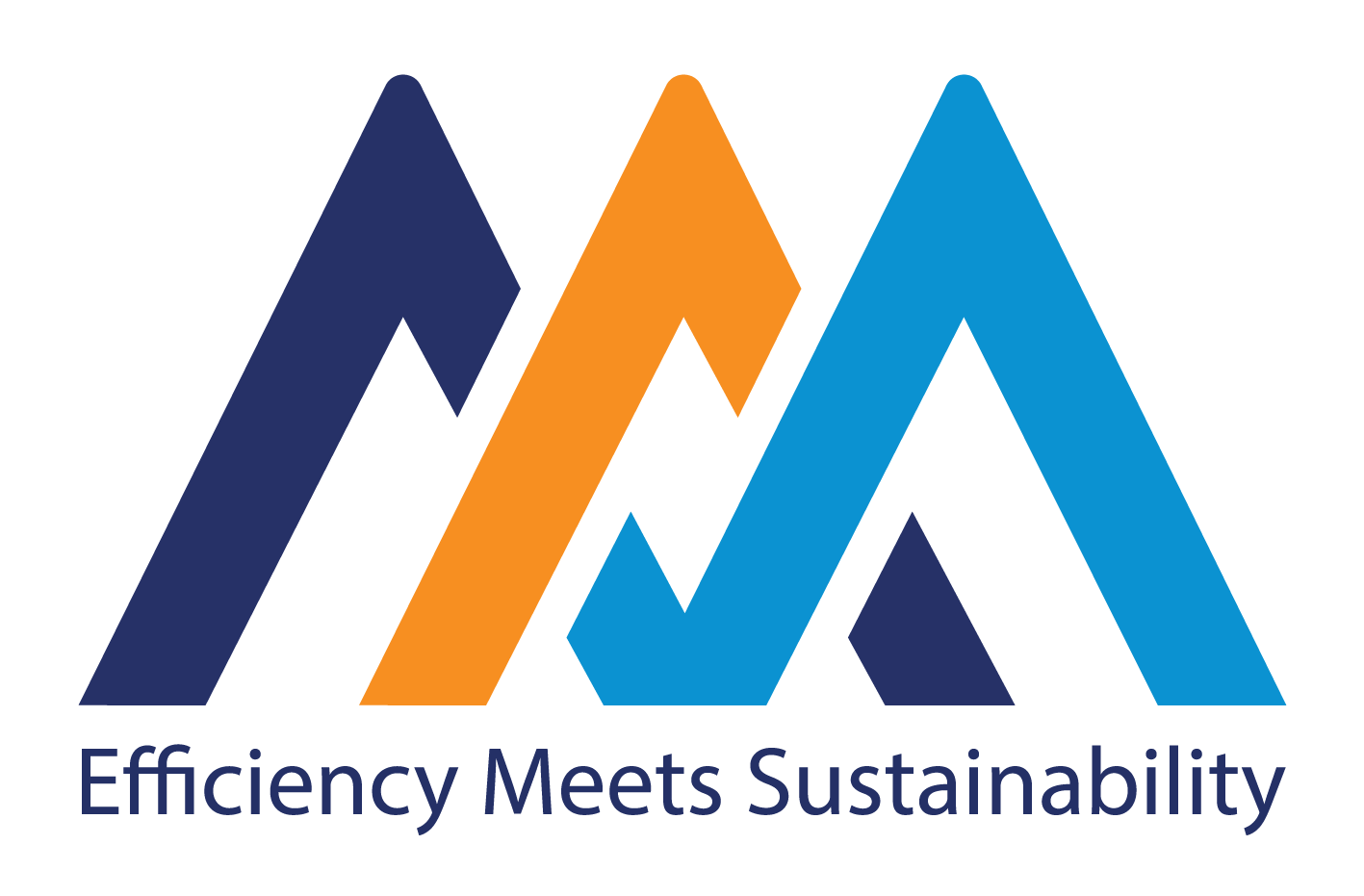 AMM Tech and Engineering Services